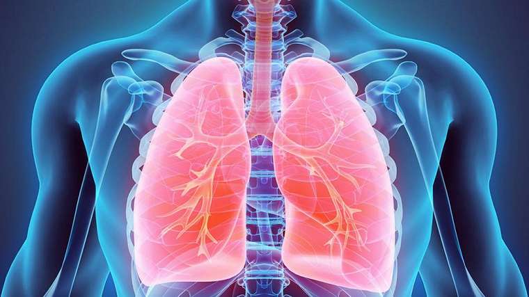 gambaran paru-paru saat terinfeksi corona © 2020 berbagai sumber