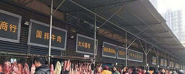 Pasar di Wuhan kembali jual daging kelelawar, ini kata WHO